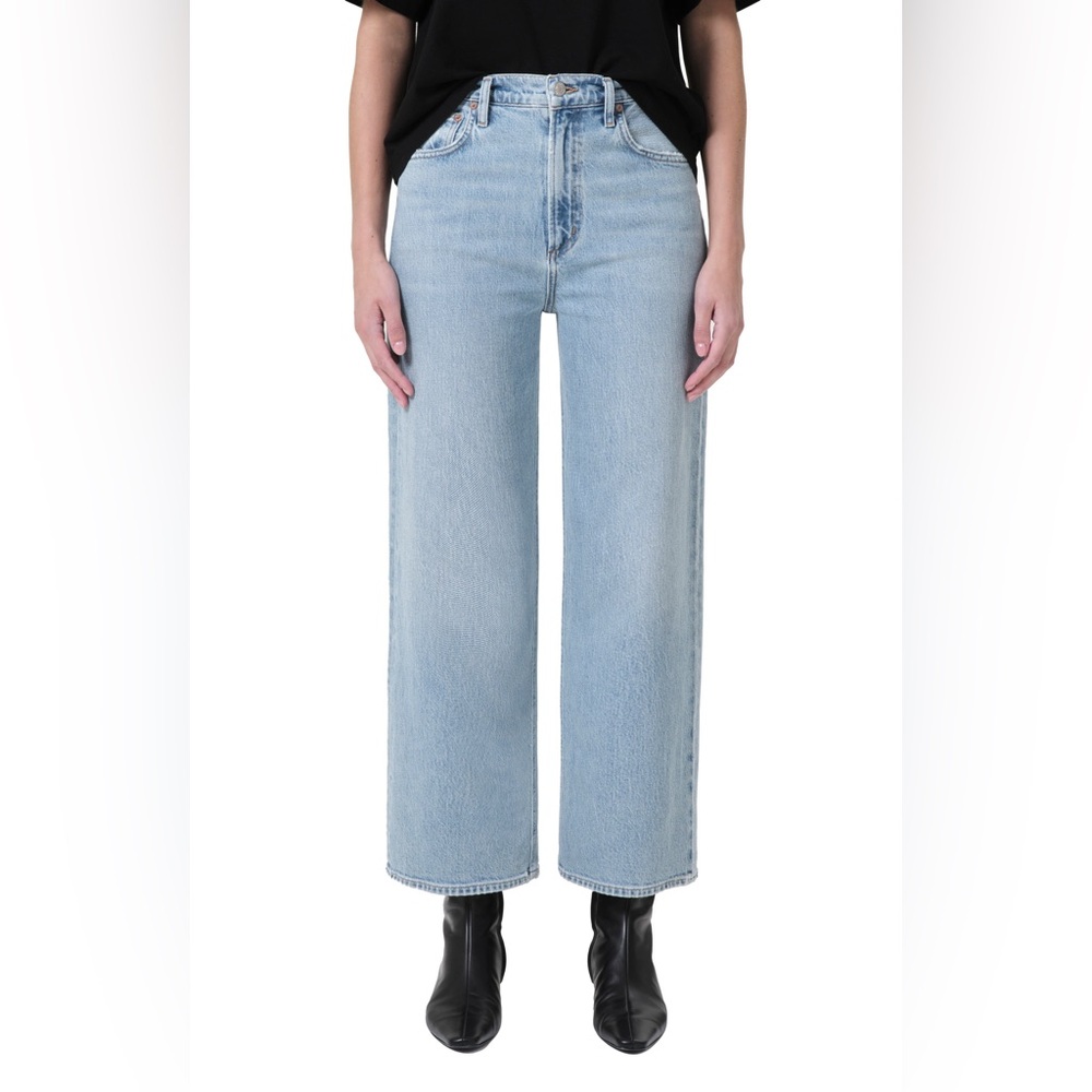 AGOLDE Ren High Waisted Wide Leg Jeans Groove 29”